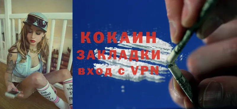 Cocaine FishScale  мориарти формула  Анадырь 